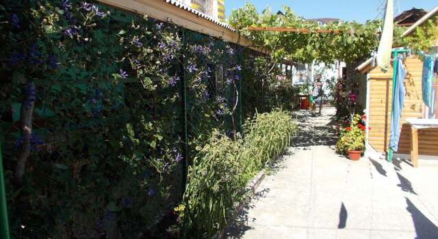 Гостиница Guest house U Dyadi Vani Коктебель-24